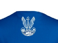 T-shirt niebieski Orzeł AK